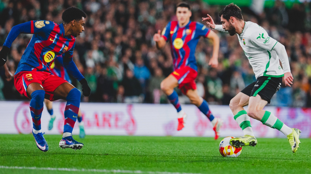 B1cc276c eede 4a77 8004 ca9600159c08 336