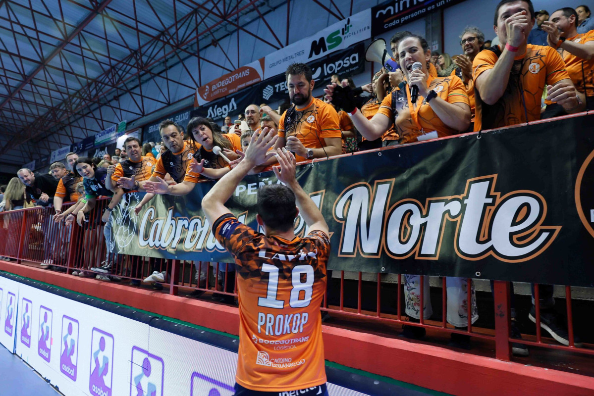 Celebracion TLV LOG 95 scaled