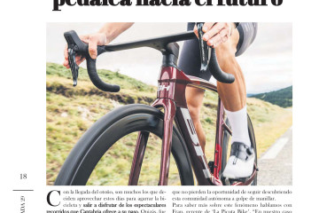 BICIS